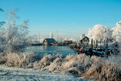 Winter Wonder Woudrichem van VVV Biesboschlinie