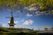 Molen in Woudrichem van VVV Biesboschlinie