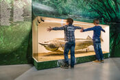 Biesboschmuseum van VVV Biesboschlinie