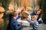 Biesboschmuseum van VVV Biesboschlinie