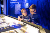 Biesboschmuseum van VVV Biesboschlinie