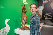 Biesboschmuseum van VVV Biesboschlinie