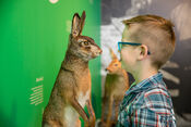 Biesboschmuseum van VVV Biesboschlinie