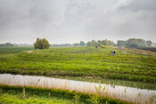 Fietsen in Nieuwendijk van VVV Biesboschlinie