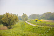 Fietsen in Nieuwendijk van VVV Biesboschlinie