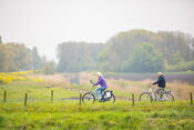 Fietsen in Nieuwendijk van VVV Biesboschlinie