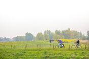 Fietsen in Nieuwendijk van VVV Biesboschlinie