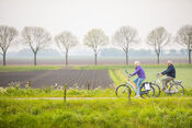 Fietsen in Nieuwendijk van VVV Biesboschlinie