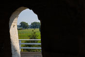 Uitzicht vanuit de molen van VVV Biesboschlinie
