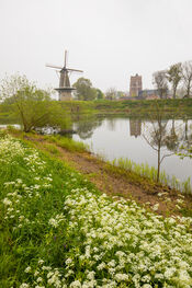 Natuur in Woudrichem van VVV Biesboschlinie