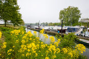 Haven in Woudrichem van VVV Biesboschlinie