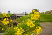 Fietsers in Woudrichem van VVV Biesboschlinie