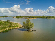 Biesbosch van VVV Biesboschlinie