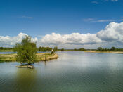 Biesbosch van VVV Biesboschlinie