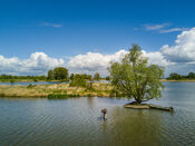 Biesbosch van VVV Biesboschlinie
