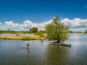 Biesbosch van VVV Biesboschlinie