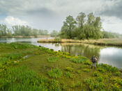 Biesbosch van VVV Biesboschlinie