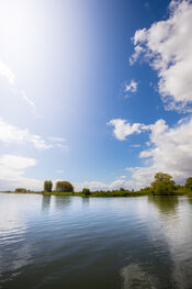Biesbosch van VVV Biesboschlinie