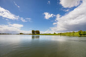 Biesbosch van VVV Biesboschlinie