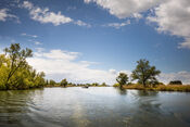 Varen in de Biesbosch van VVV Biesboschlinie
