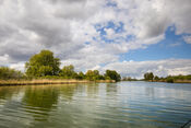 Biesbosch van VVV Biesboschlinie