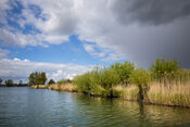 Biesbosch van VVV Biesboschlinie