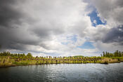 Biesbosch van VVV Biesboschlinie