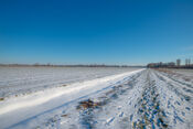 Winter in Almkerk van VVV Biesboschlinie