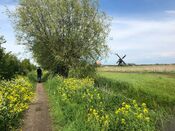Kornsche Boezem in Dussen van VVV Biesboschlinie