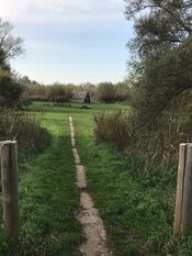 Pannekoek Biesbosch van VVV Biesboschlinie