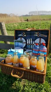 Pickpicken in Sleeuwijk van VVV Biesboschlinie