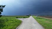 Polder bij Dussen van VVV Biesboschlinie