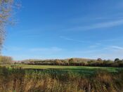 Het Pompveld Babyloni&euml;nbroek van VVV Biesboschlinie