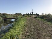 Molen Kornsche Boezem van VVV Biesboschlinie