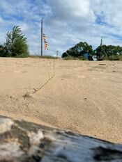 Strand bij Visserijdagen Woudrichem van VVV Biesboschlinie