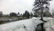Winter in Almkerk van VVV Biesboschlinie