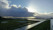 Ondergelopen Biesbosch van VVV Biesboschlinie