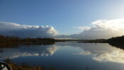 Biesbosch Werkendam van VVV Biesboschlinie
