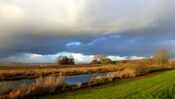 Biesbosch Werkendam van VVV Biesboschlinie