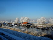 Haven van Woudrichem van VVV Biesboschlinie