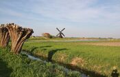 Uitwijkse molen Sleeuwijk van VVV Biesboschlinie