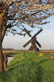 Uitwijkse molen Sleeuwijk van VVV Biesboschlinie