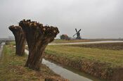 Uitwijkse molen in Sleeuwijk van VVV Biesboschlinie