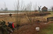 Uitwijkse molen in Sleeuwijk van VVV Biesboschlinie