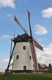 Witte molen in Veen van VVV Biesboschlinie