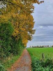 Langs de alm Almkerk van VVV Biesboschlinie