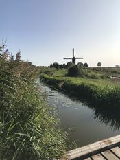 Natuur Kornsche Boezem Dussen van VVV Biesboschlinie