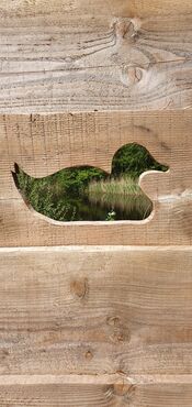 Pompveld Babylonienbroek van VVV Biesboschlinie