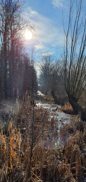 Pompveld Babylonienbroek van VVV Biesboschlinie