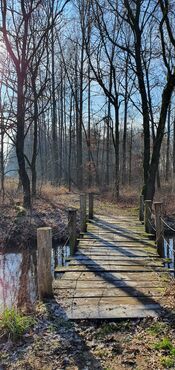 Babylonienbroek Pompveld wandelen van VVV Biesboschlinie